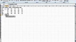 How to Enter Data in Excel [upl. by Euqinmod]