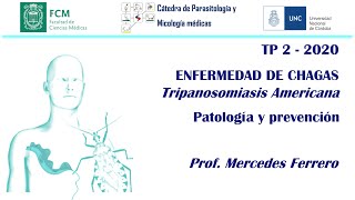 Patología y prevención de la enf de Chagas [upl. by Eiznekcam]