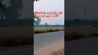 Qari Noreen Siddique ll by liaqat village ll islamicvideo tilawatequran village viralvideo [upl. by Bride]