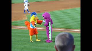 Famous Chicken battles Barney in a danceoff [upl. by Epner882]