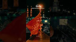 Jisne Haq Karbala Main Ada Kar Diya Status video  Apne Nana Ka Wada Wafa Kar Diya shortvideo [upl. by Annawd267]