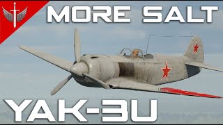 The Yak3U Is PEAK [upl. by Bonucci634]