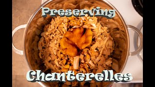 How I Preserve Chanterelle Mushrooms Freezing Method [upl. by Lyssa]