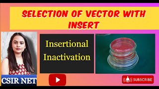 Insertional Inactivation  Replica Plating  Selection of Vector with Insert  L3  CSIR UGC NET [upl. by Annehs902]