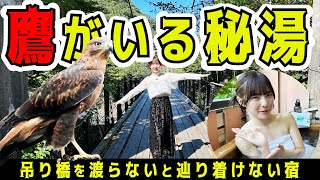 鷹が降り立った温泉！？秘境の温泉 吊り橋の先に待つ絶景露天風呂【鷹の巣温泉】 [upl. by Carolee]