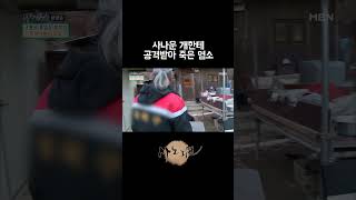 사나운 개한테 공격받아 죽어버린 염소 [upl. by Shirah567]