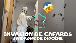 Diogène France  UN APPARTEMENT INFESTÉ DE CAFARDS  😱 extrême [upl. by Talanian]