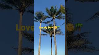 Lovely DayBill Withers love life trending viral youtube live vibes music youtubeshorts [upl. by Tonie751]