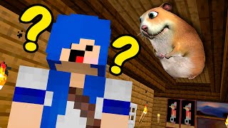 CADÊ ESSE HAMSTER FIND CHOMIKS MINECRAFT [upl. by Roswell427]