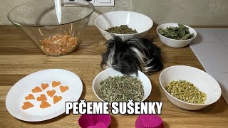 Recept na jednoduché sušenky pro morčata [upl. by Nesline]