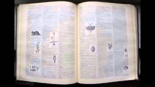 Agoraphile  Dictionnaire français audio [upl. by Hgalehs22]