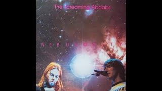 The Screaming Abdabs quotNEBULOSITYquot 1971 72 vinyl [upl. by Anthiathia]