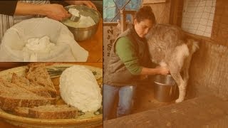 Crafting Chèvre at Home A StepbyStep Guide to Soft Goats Milk Cheese [upl. by Gromme]