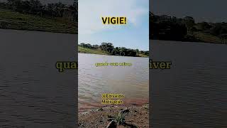 VIGIAI [upl. by Oneal]