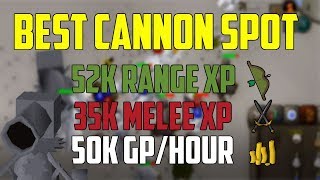 OSRS  Best Unknown Cannon Spot PROFIT WITH XP [upl. by Harriman]