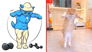 😂Cat Memes We Live We Love We Lie  Smurf Cat 😹 Trending Funny Animals 2024 😊 [upl. by Runck]