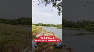 FISHPOND ANG PANGKABUHAYAN NMIN please like share pleasesubscribemychannel [upl. by Aryaz]