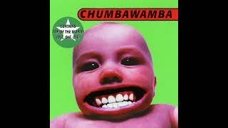 Chumbawamba  Tubthumping [upl. by Urbanus]