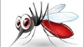 കൊതുകിനെ കൊല്ലണ്ട രീതി mosquito how to kill mosquito [upl. by Danby]