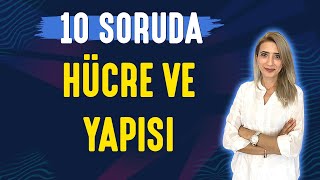 📌10 SORUDA l HÜCRE VE YAPISI  TYT 9SINIF l Seda Hoca Biyoloji 🤗 [upl. by Einotna942]