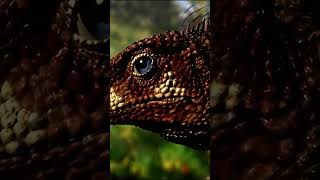 ¿Son realmente los dinosaurios animales gigantescos dinosaurios tierra documental [upl. by Ahsiam]