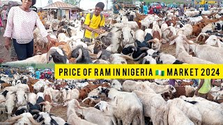 Price of Ram In Nigeria 🇳🇬 Market 2024  Ileya Festival 2024 [upl. by Mort]