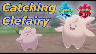 How To Catch amp Evolve Clefairy  Pokemon Sword And Shield [upl. by Rebmetpes]