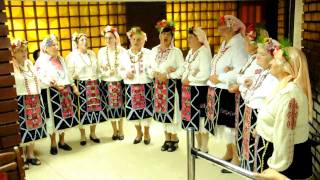 Bulgarian Folklore  Women from Gradishte 4 [upl. by Sivet]