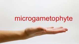 How to Pronounce microgametophyte  American English [upl. by Pacheco]