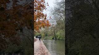 Cotswold on 60 seconds nature cotswoldvillages travel countryside naturephotography natureshot [upl. by Subocaj100]