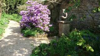 20160512 Hidcote Manor amp Gardens Chipping Campden UK  03 [upl. by Leahcimluap95]