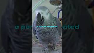 Parrot Solves Mrder Case 😱 [upl. by Tenrag189]