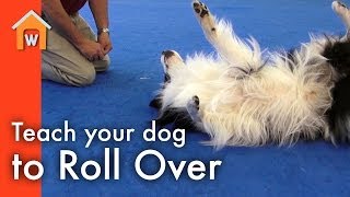 Teach Your Dog to Roll Over [upl. by Koo]