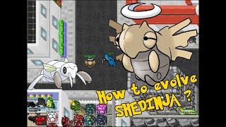 Padventures  How to evolved Nincada to Shedinja [upl. by Guinna]