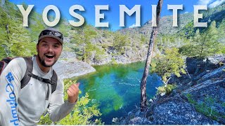 Fishing a CRYSTAL CLEAR Stream  Yosemite National Park [upl. by Zoubek199]