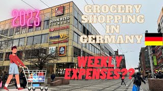 Grocery Shopping in Germany 2023  Weekly Grocery Expenses in Germany🇩🇪 [upl. by Eras]