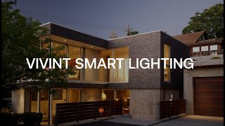 Introducing Vivint Smart Lighting [upl. by Aikem579]