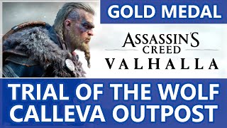 Calleva Outpost Wolf Mastery Challenge Gold Medal  Assassins Creed Valhalla [upl. by Airlee]