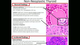 NonNeoplastic Thyroid Kurts Notes pathagonia [upl. by Asina]