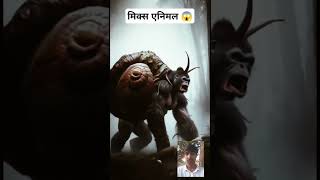 मिक्स एनिमल 😱👍 short shortfeed animal gorilla trending viralshort [upl. by Riccio]