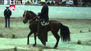 Gran Campeonato de Caballos Paso Fino Colombiano  Sogamoso 2013 [upl. by Adaven554]