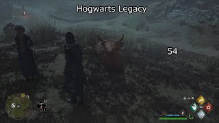 Hogwarts Legacy 54  First Play Through  No Commentary [upl. by Amuwkuhc363]