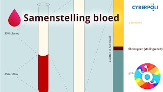 Samenstelling  Bloed [upl. by Annawit]