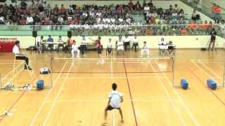 Raffles Institution takes home badminton title after 15 years [upl. by Neimad946]