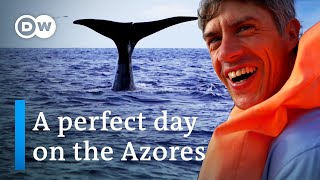 Discover the Azores  A perfect Day on the Azores  Best things to do on the Azores [upl. by Sivartal358]