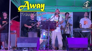 Away  Tribal Seeds  Isla Riddim Cover [upl. by Jason944]