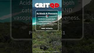 Acidosis amp Pressors [upl. by Acimak]