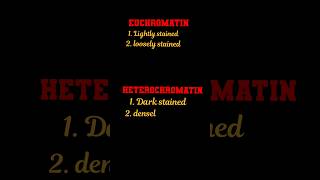 difference between euchromatin and heterochromatin l biology [upl. by Vastah356]