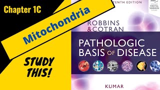 Robbins and Cotran Pathologic Basis of Disease Chapter 1C  Mitochondria StudyThis [upl. by Eila]