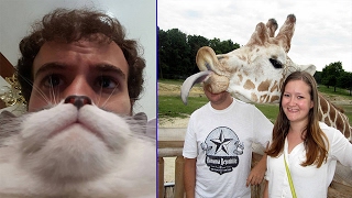 Funniest Animal Photobombs Ever [upl. by Ecyar55]